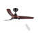 Small-CF 42'' Ceiling Fan with LED Lights