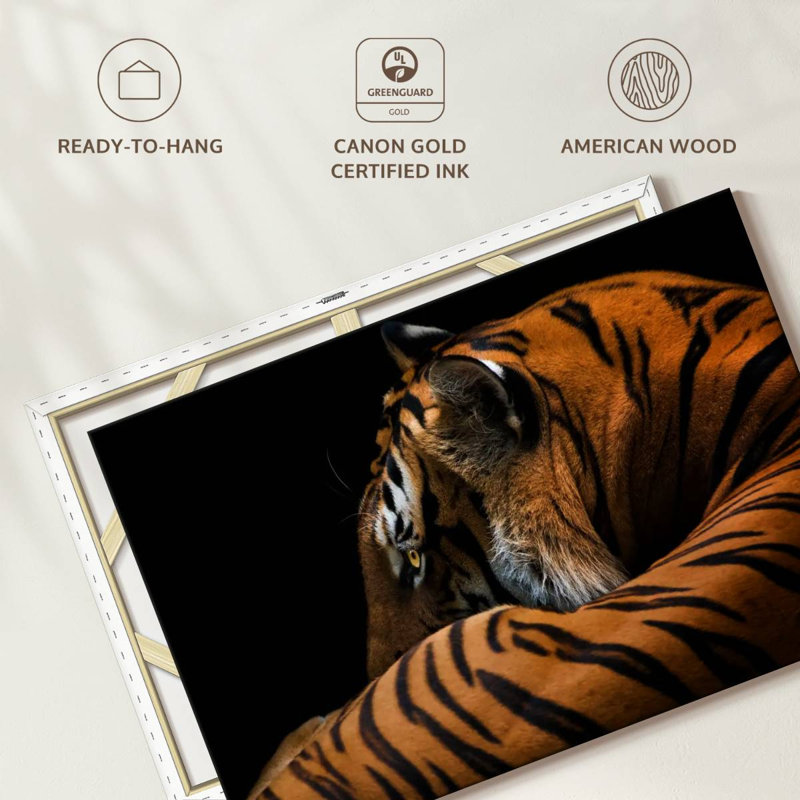 Brampt Majestic Tiger