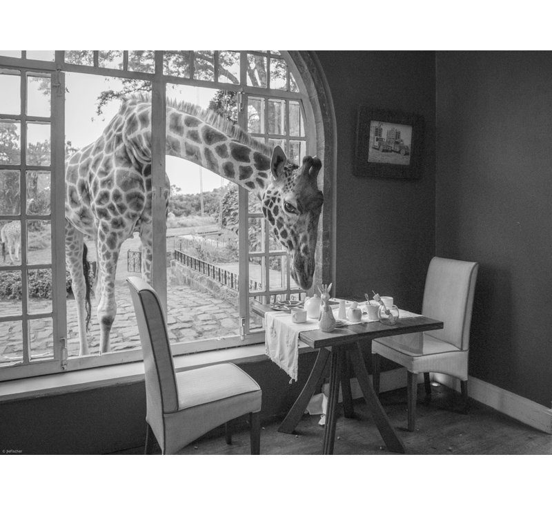 1 Piece Wrapped Canvas Wall Art, 60.96 cm H x 91.44 cm W