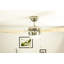 Nayeli 107cm Ceiling Fan with Light Kit-1517656869-1517657049