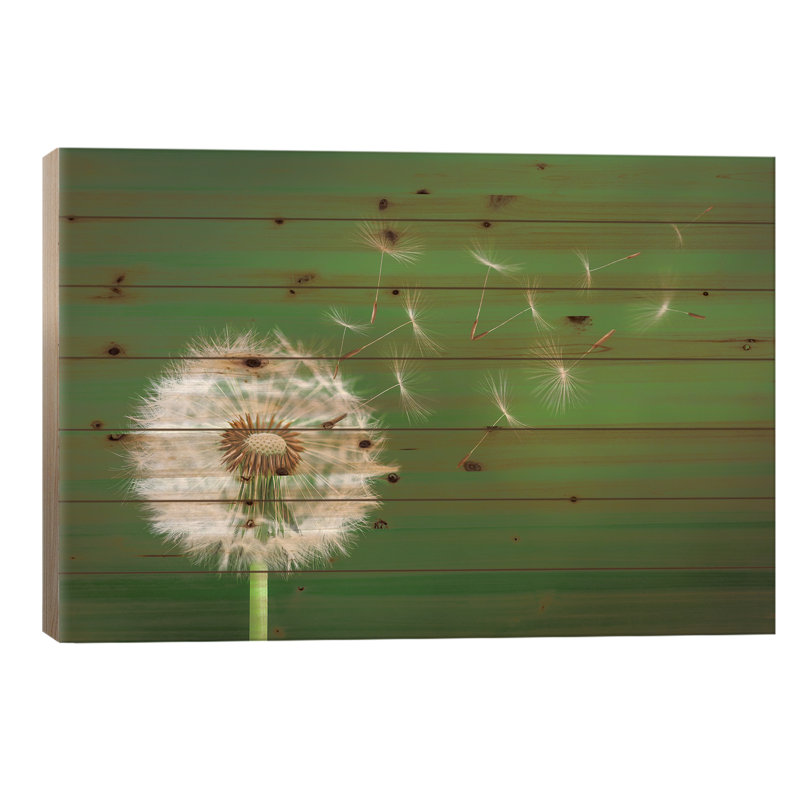 " Dandelion Blowing II " by Bess Hamiti, 18" H x 26" W x 1.5" D