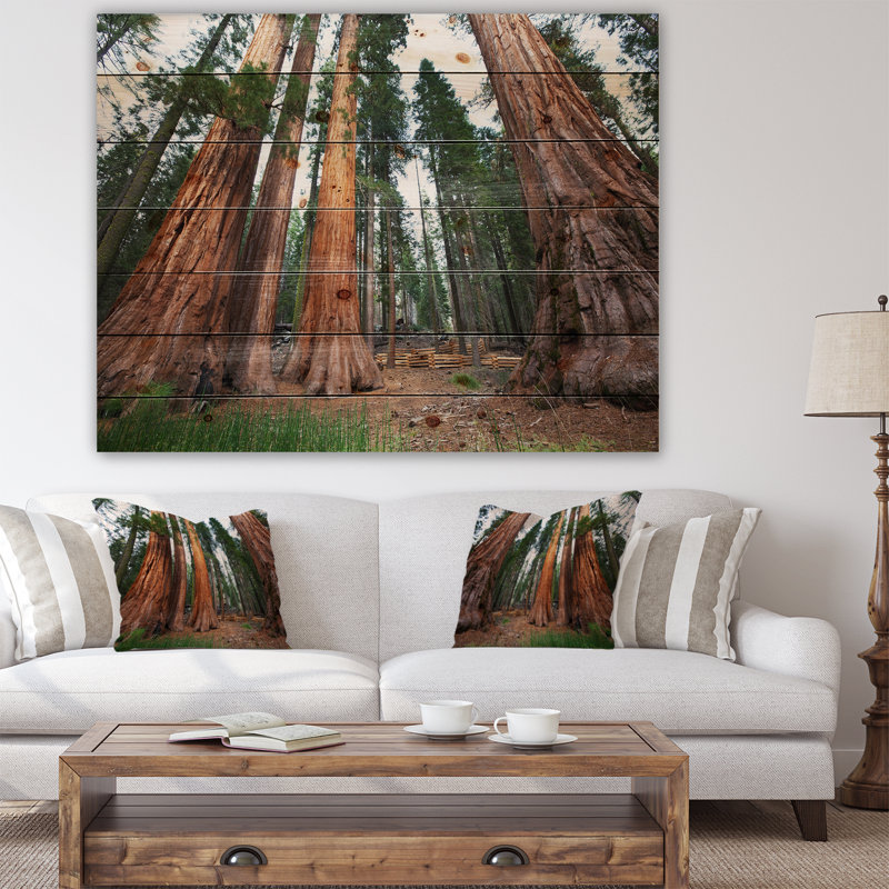 Trois grands séquoias - Peinture sur bois sans cadre, H 12 po x l 20 po x P 1 po