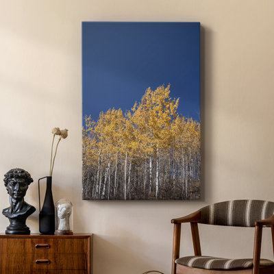 Amber in the Forest -Custom Wrapped Gallery Cavas