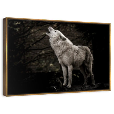 Le loup solitaire