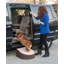 Rampe pour animal One Step