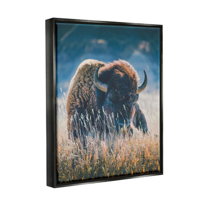 " Bison In Meadow Photography " by Annie Bailey Art