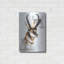 "Pronghorn" par Barbara Keith-2090548342