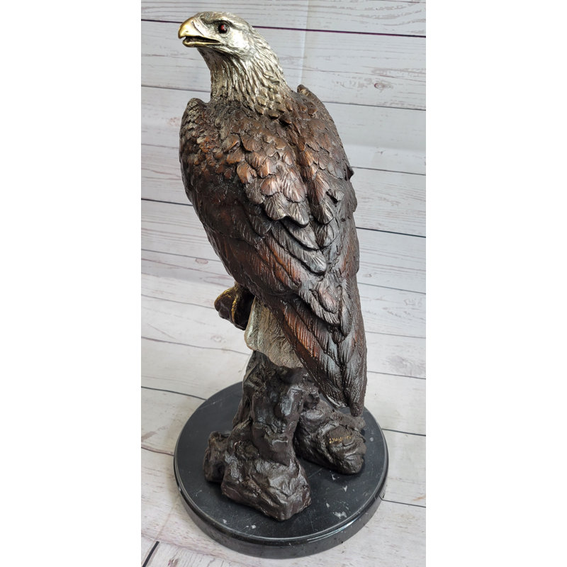Aigle chauve américain Juvraj