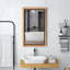 Hany Rectangle Mirror