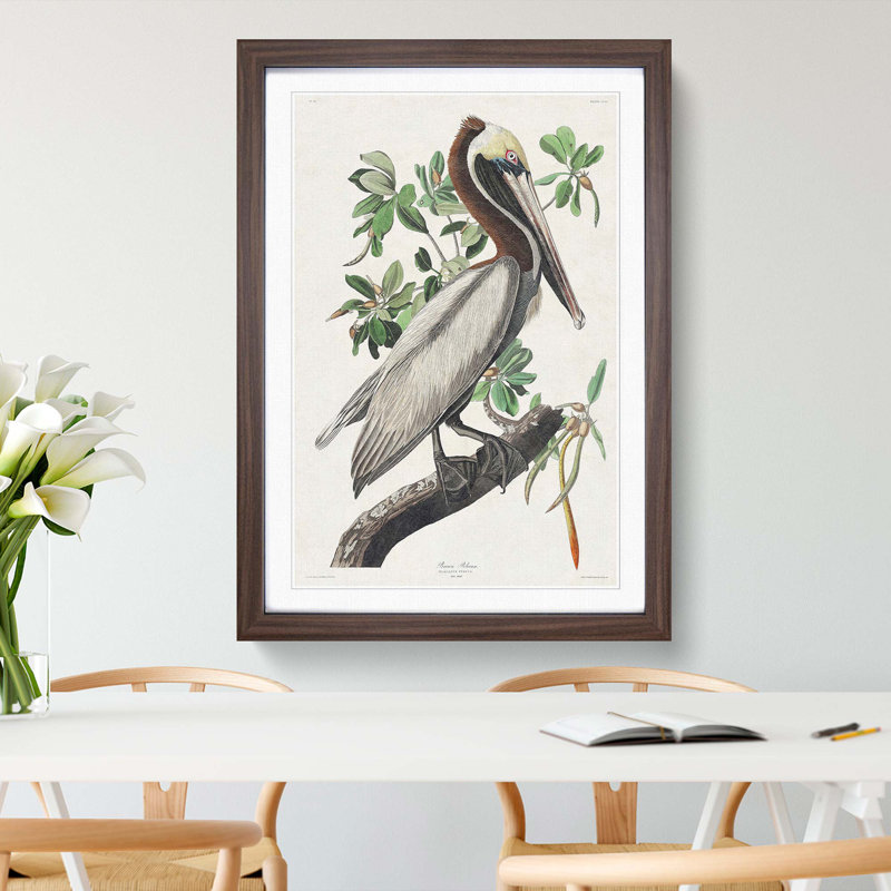 Brown Pelican by John Audubon - Picture Frame Graphic Art Print on MDF, Walnut Framed, 48cm H x 36cm W x 2cm D