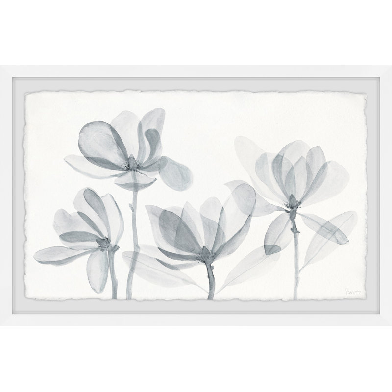 Petal Reflection by Parvez Taj - Single Picture Frame Painting, 20cm H x 30cm W