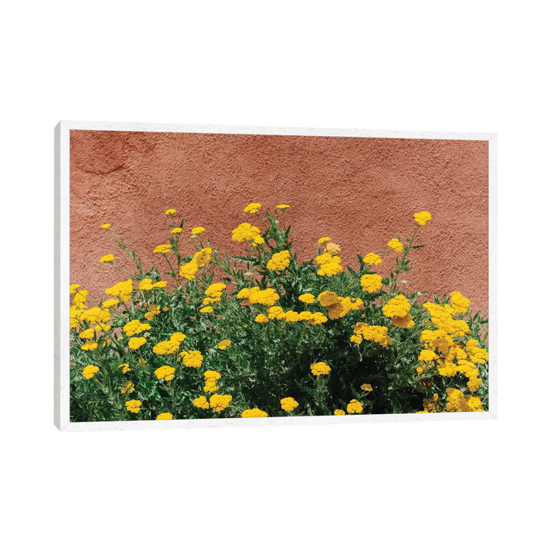 New Mexico Blooms by Bethany Young - Print on Canvas, White Framed, 45.72cm H x 66.04cm W x 3.81cm D