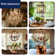 B11E12 100w Equivalent Led Candelabra Bulbs, 800lm Dimmable Led Chandelier Light Bulbs, Soft White, E26 Base, 6 Pack