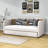 Dhanisha Twin Size Upholstered Daybed With Twin Size Trundle-1264839496