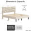 Structure de lit pour grand lit en beige - aucun sommier nécessaire, avec espace de rangement sous le lit, table à ressorts, plancher et assemblage-1575699517
