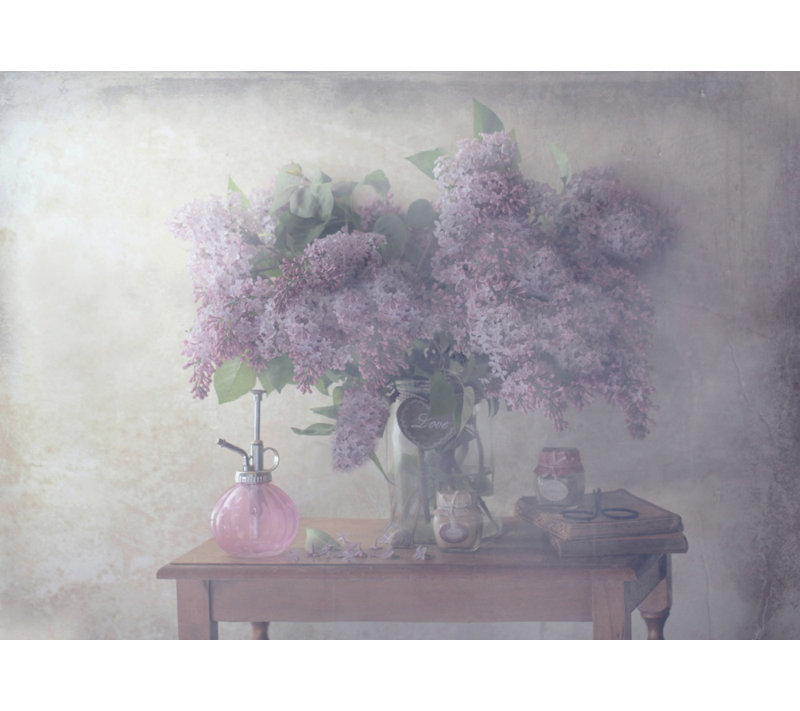Wrapped Canvas Print, 50.8 cm H x 76.2 cm W