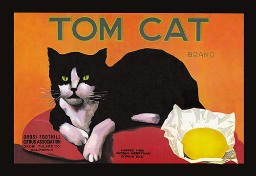 Publicité rétro de marque de chat tom, H 24 po x l 36 po x P 1,5 po