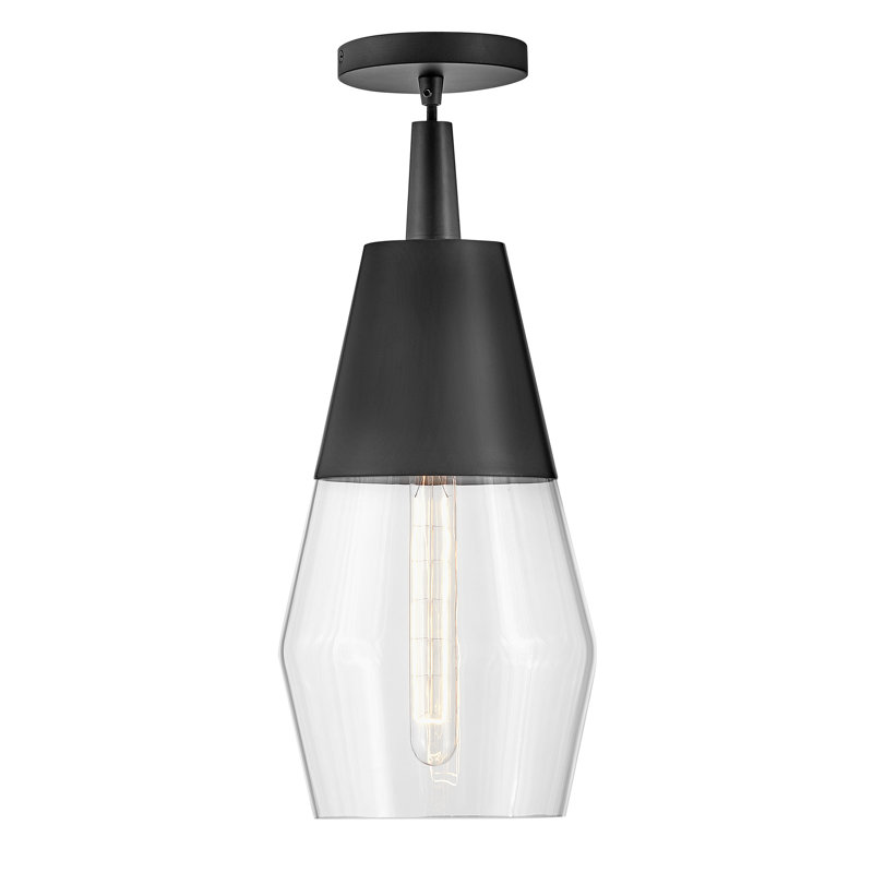 Luminaire suspendu en forme de cloche à 1 lumière Seraphina, Noir