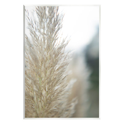 Photographie de plaque de gazon naturel par Jason Johnson