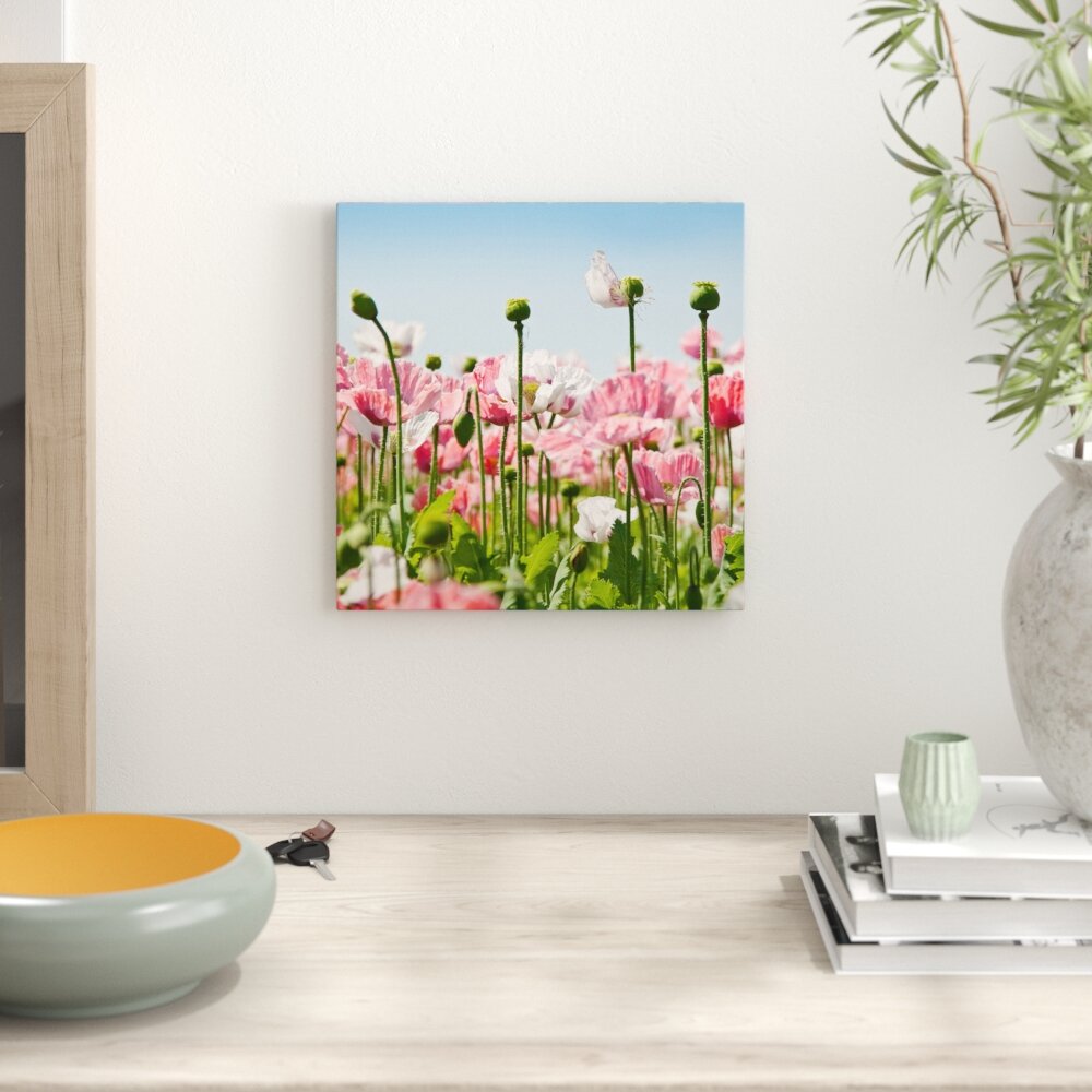 Leinwandbild Blumenwiese Mohnblumen