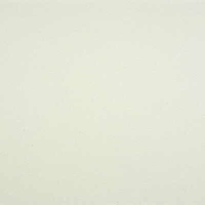 Gato Faux Leather Fabric