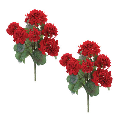Geranium Floral Bush