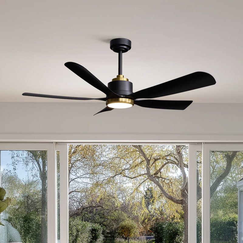 52" 5-Blades Ceiling Fan with Light Black/Gold