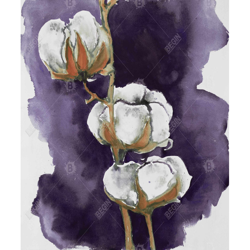 Aquarelle de fleurs de coton mauves - Toile encadrée