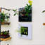 Noella Planter-91489278