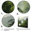 Rainforest jungle paysage 1 - Jungle, reproduction d'art sur toile encadrée-1594881996-1594881842