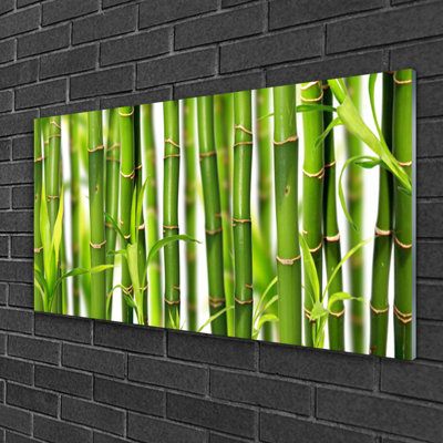 Floral Bamboo Stalks - No Frame Print on Glass