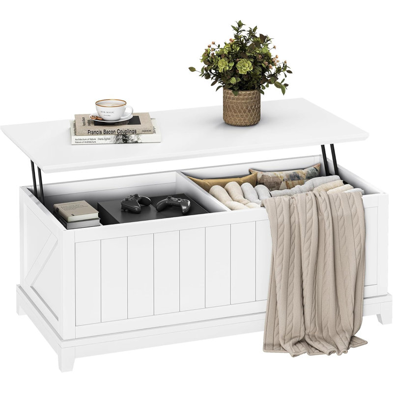 Table basse avec grand rangement et clôture, table centrale rustique pour la maison et le bureau, blanc