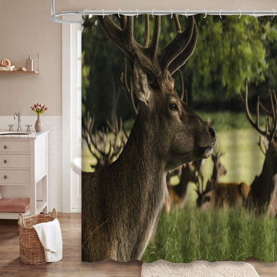 Deer Brown Buck Europe Forest Field Shower Curtain with 12 Hooks