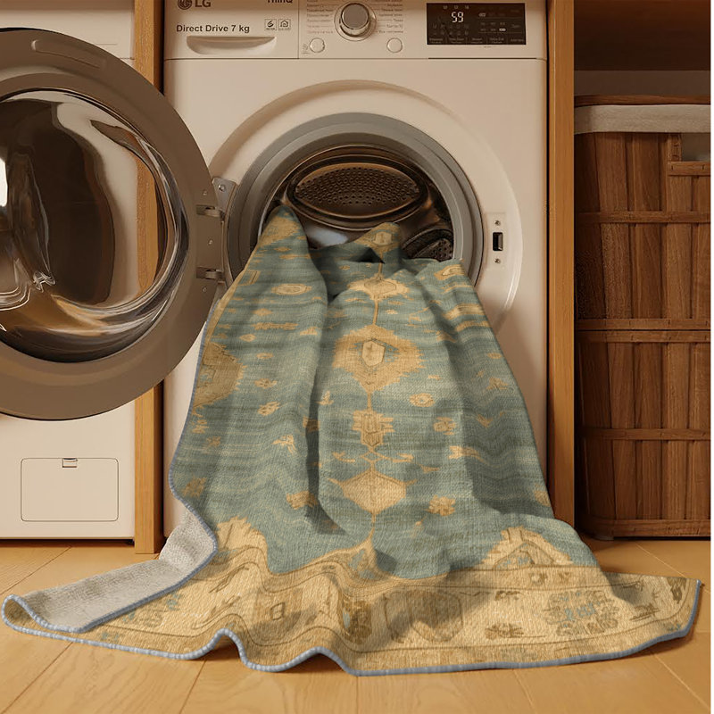 Machine Washable Overdyed Brown Area Rug, Rectangle 7' x 10'