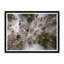Tree Tops I Print by Tim Klein