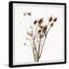 Dried Burdock - Single Picture Frame Painting-2098995771
