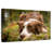 Brampt Lovable Border Collie-108906545