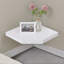 Antaneisha Floating Shelf