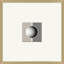 Coined Stripe 8 Print by Thom Filicia