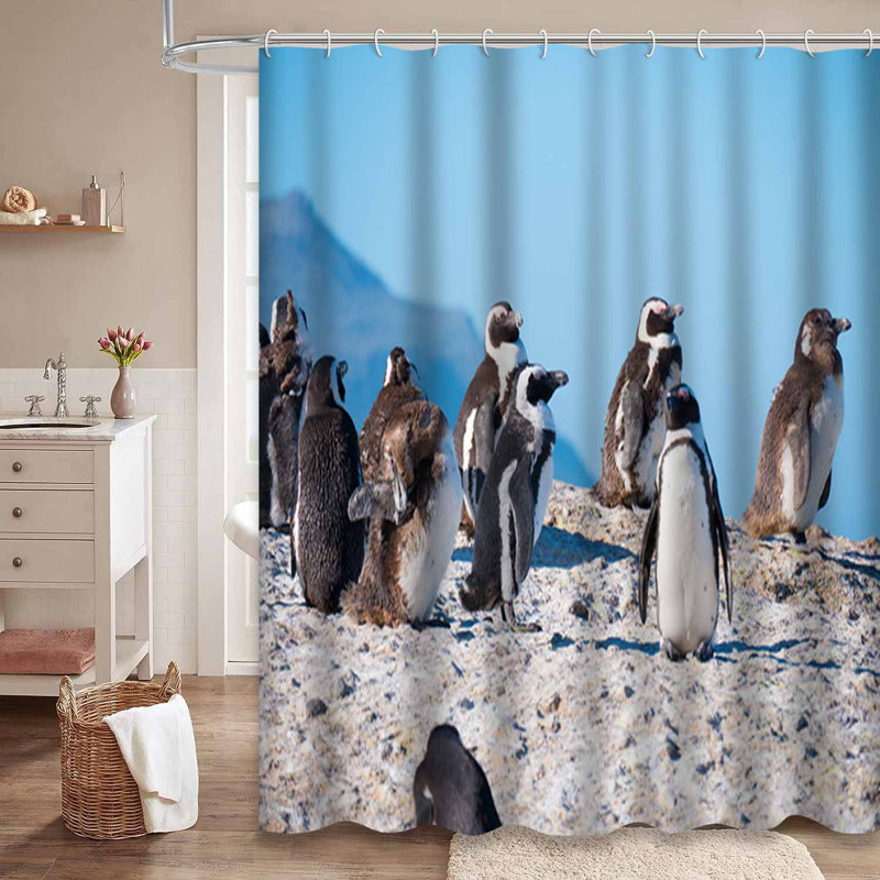 Pingouins d'Afrique, plage, Afrique du Sud, oiseau avec 12 crochets, L 72 po x l 72 po