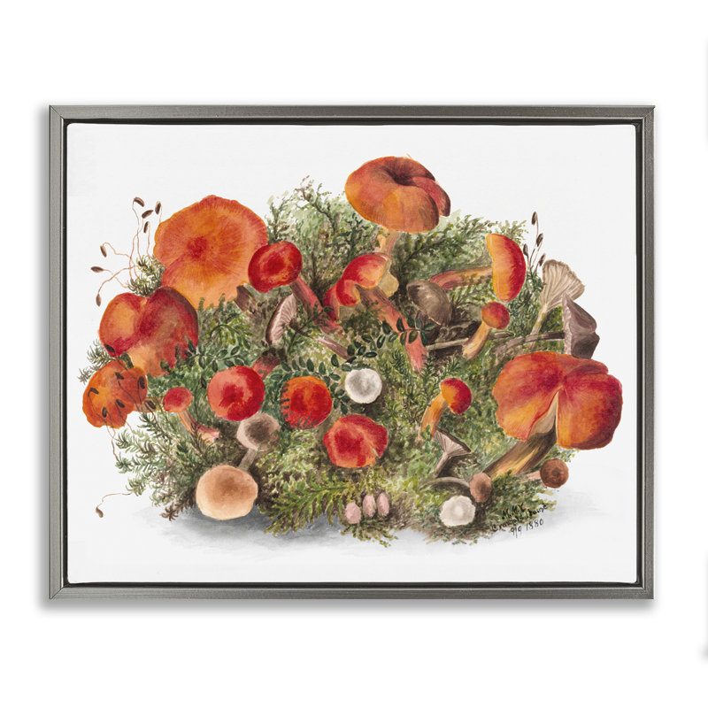 Cadre flottant Earthy, Cadre flottant gris lustré, H 17 po x l 21 po
