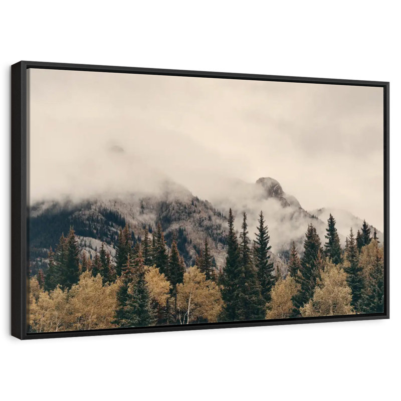 Parc national Alvord Foggy Banff, H 13 po x l 19 po
