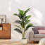 61" Artificial Palm Tree With Pot, Set of 2