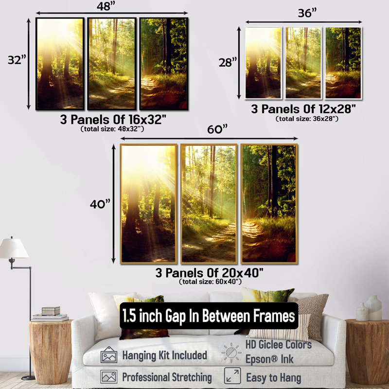 Sun Rays in Misty Old Forest - Ensemble de 3 reproductions encadrées sur toile, H 28 po x l 36 po, Argent
