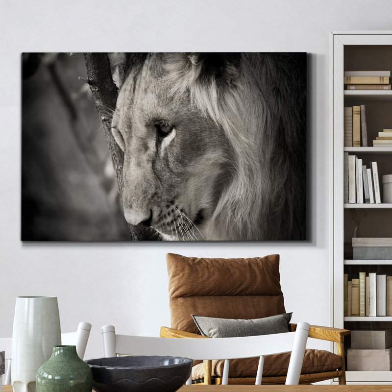Lion pensif - reproduction de photo sur toile tendue, H 12 po x l 8 po x P 1 po