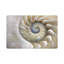 Nautilus Pearl Pebble Vegan Leather Rectangle Placemat