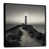 Cadre flottant noir