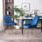 Maulsby Tufted Velvet Dining Chair-390448321-358305776
