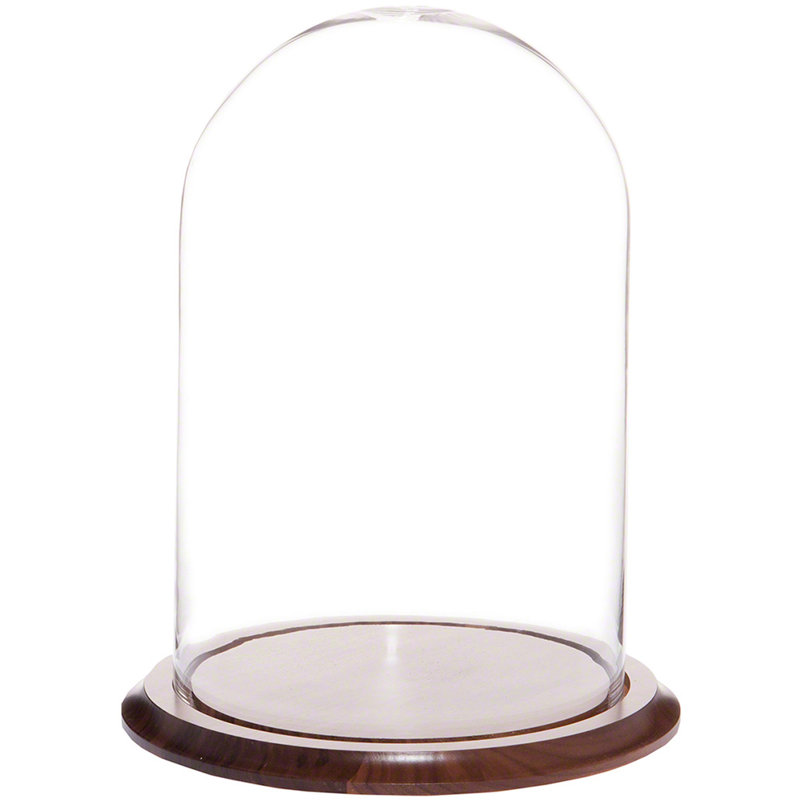 Cloche à dôme en verre 9,75 "x 15" Vucciria, Base noyer, H 15 po x l 9,75 po x P 9,75 po