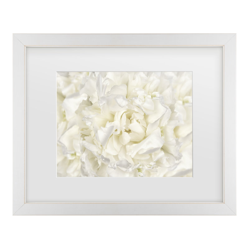 «White Peony Flower», art encadré par Cora Niele, H 13 po x l 16 po x P 0,75 po